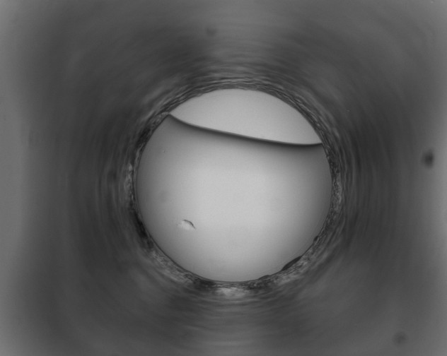 X0000102460376200808080951