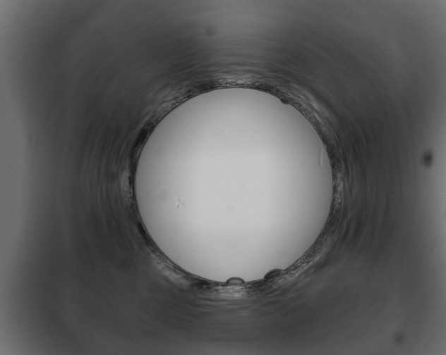 X0000102460377200808080951