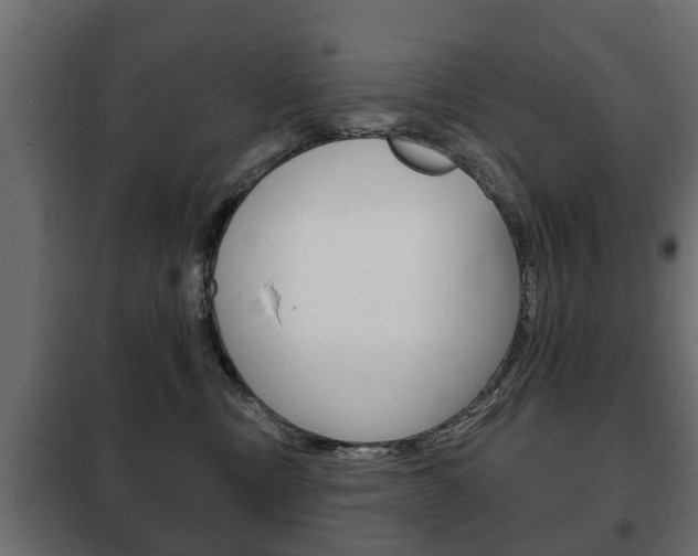 X0000102460378200808080951