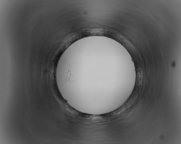 X0000102460379200808080951