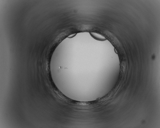 X0000102460380200808080951