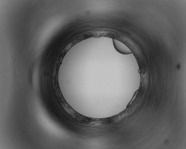 X0000102460381200808080951