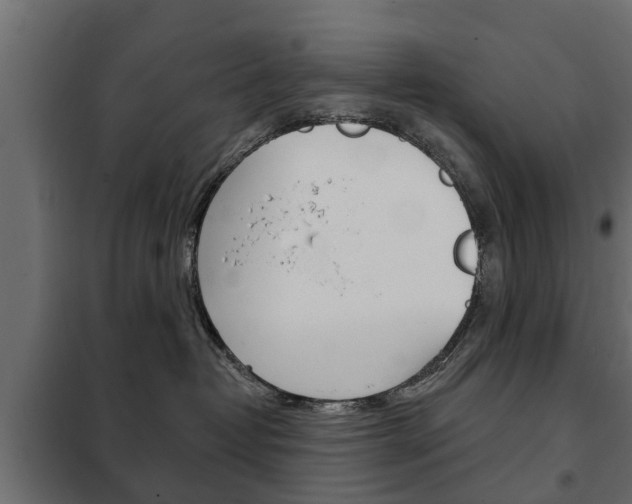 X0000102460382200808080951