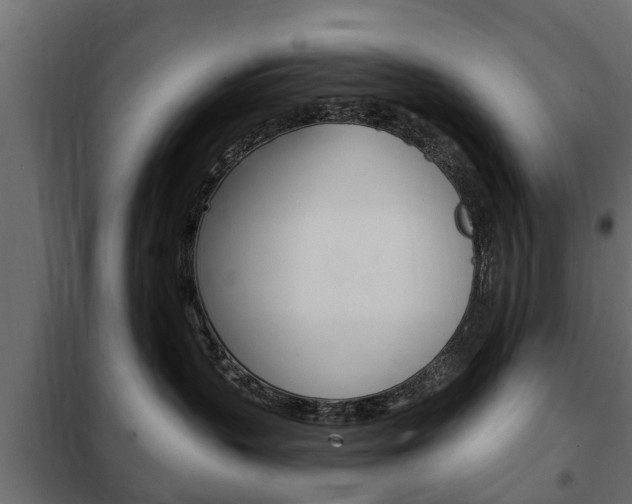 X0000102460383200808080951