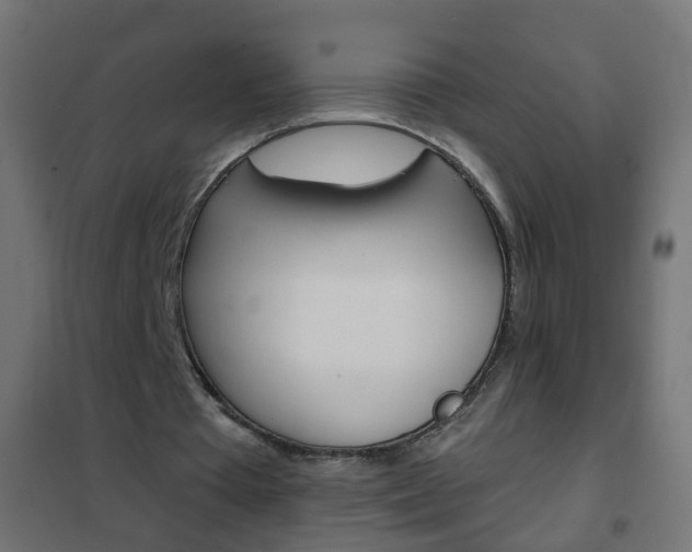X0000102460385200808080950