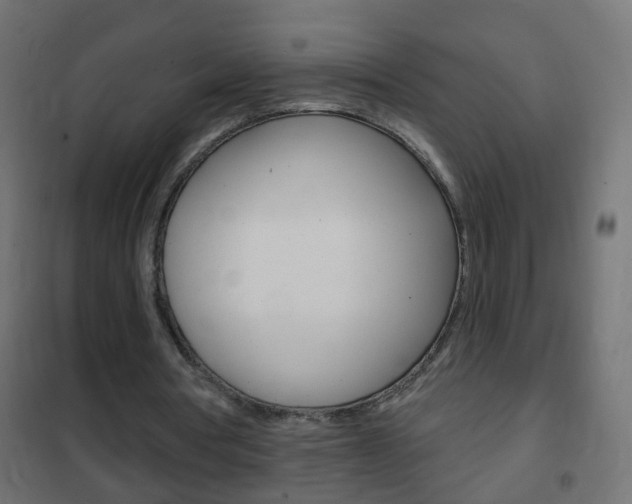 X0000102460386200808080950