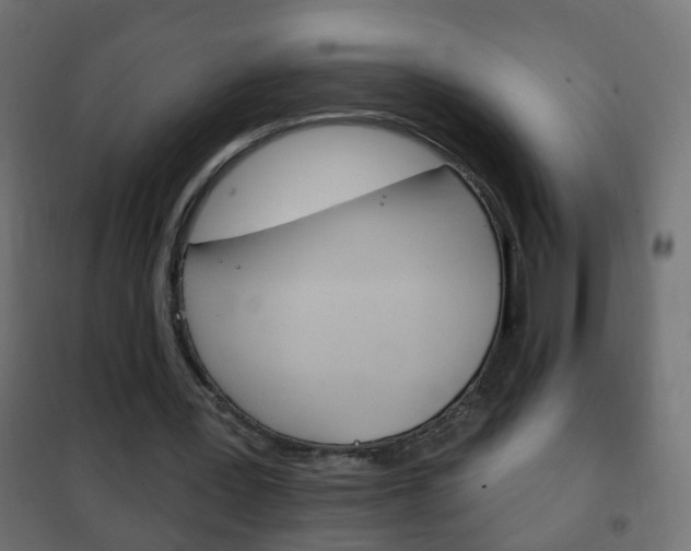 X0000102460387200808080950
