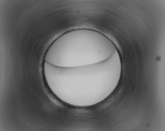 X0000102460389200808080950