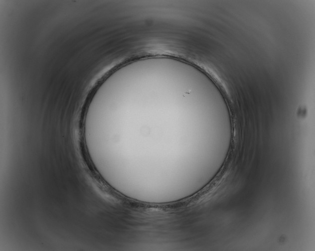 X0000102460390200808080950