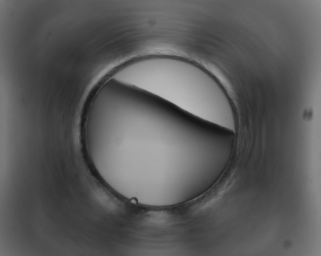 X0000102460391200808080950