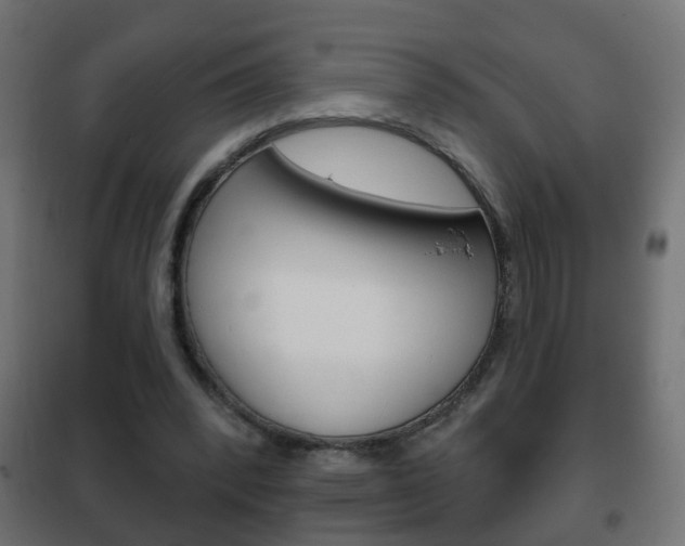 X0000102460392200808080950