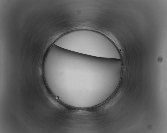 X0000102460393200808080950