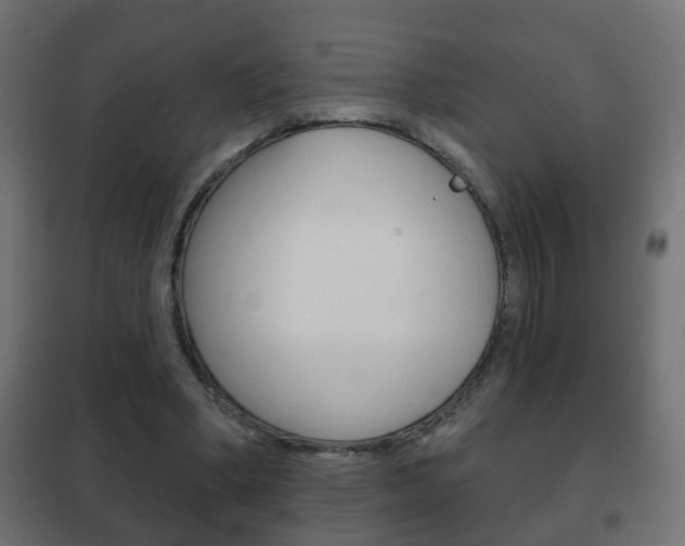 X0000102460394200808080950