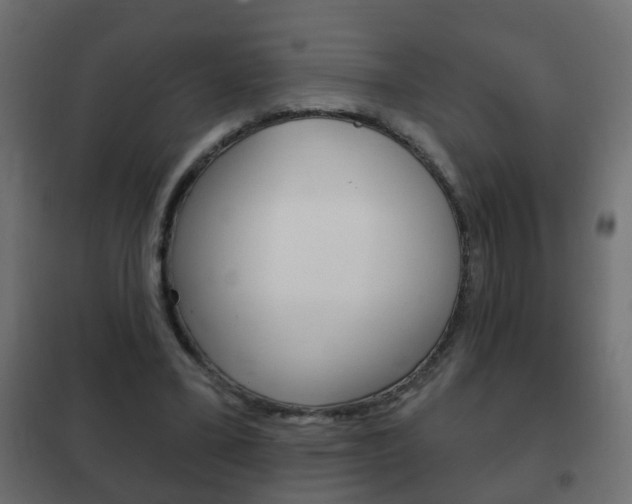 X0000102460395200808080950