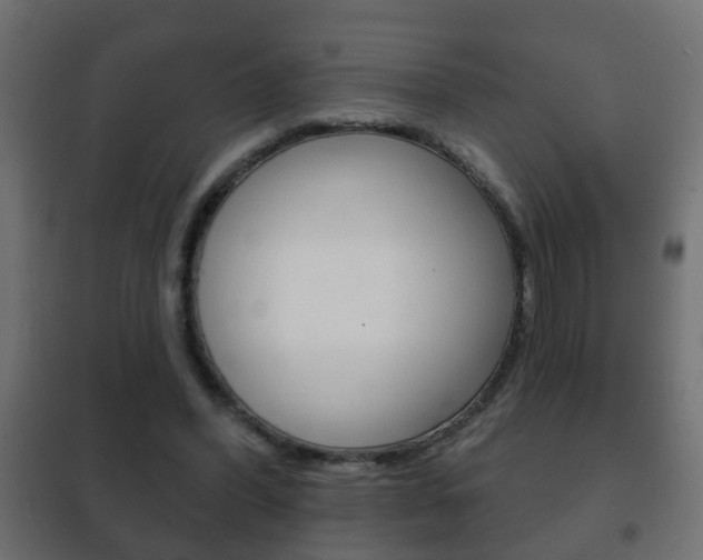 X0000102460396200808080950