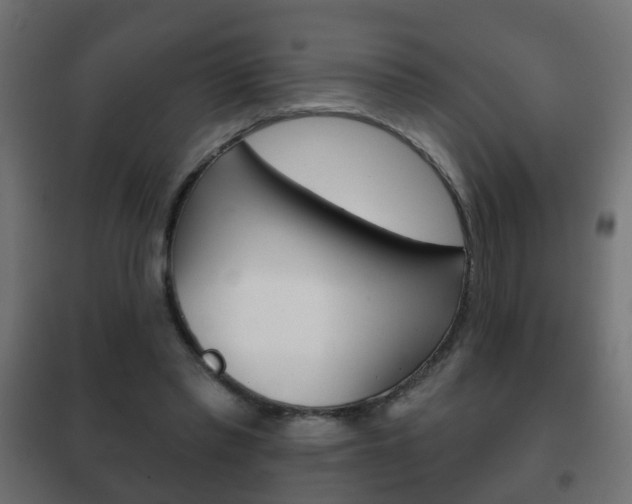 X0000102460397200808080950