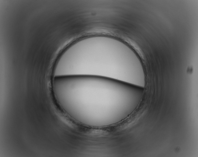 X0000102460399200808080950