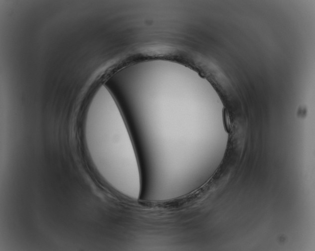 X0000102460400200808080950