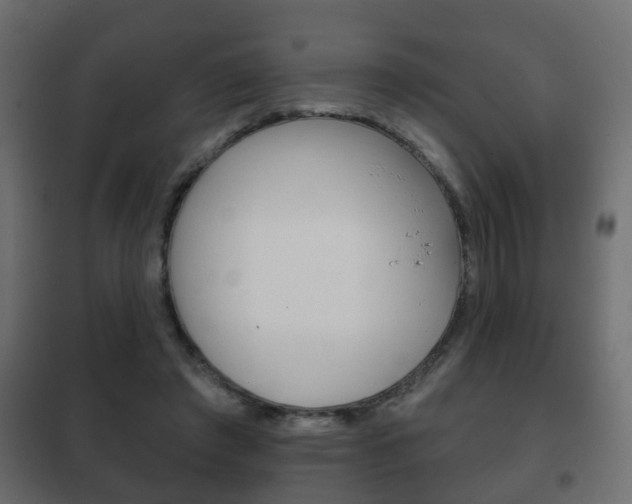 X0000102460401200808080950