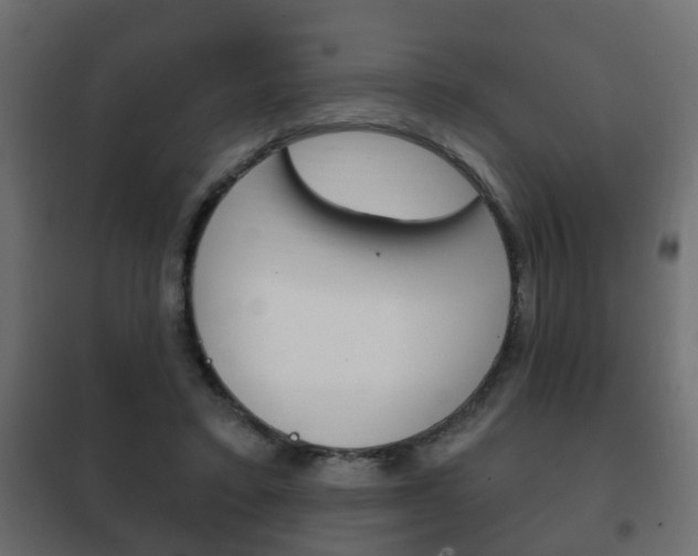 X0000102460403200808080950