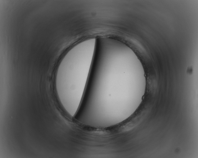 X0000102460404200808080950