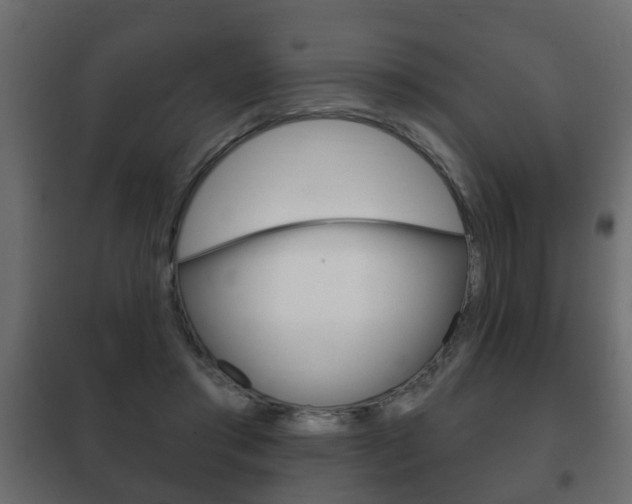 X0000102460405200808080950