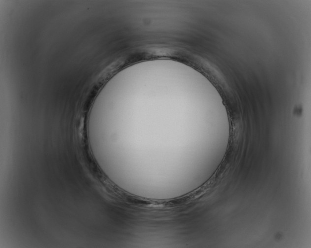 X0000102460406200808080950