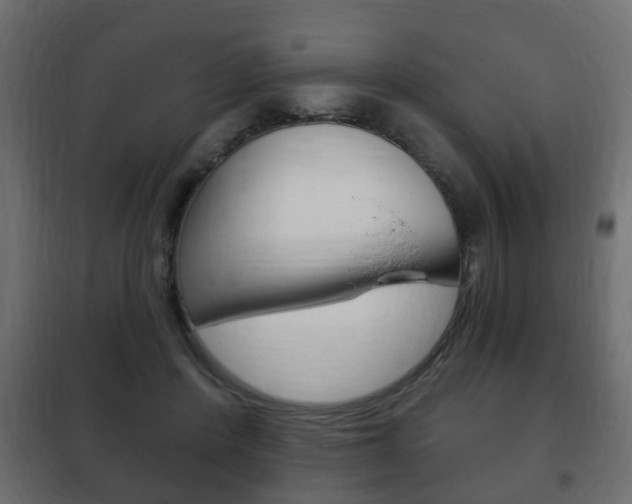 X0000102460408200808080950