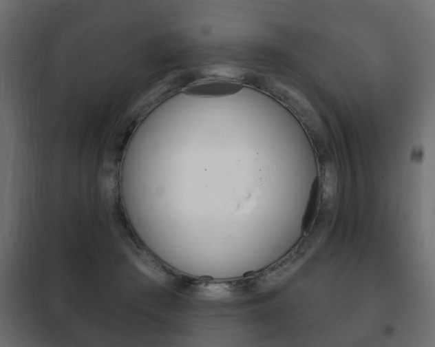 X0000102460409200808080950