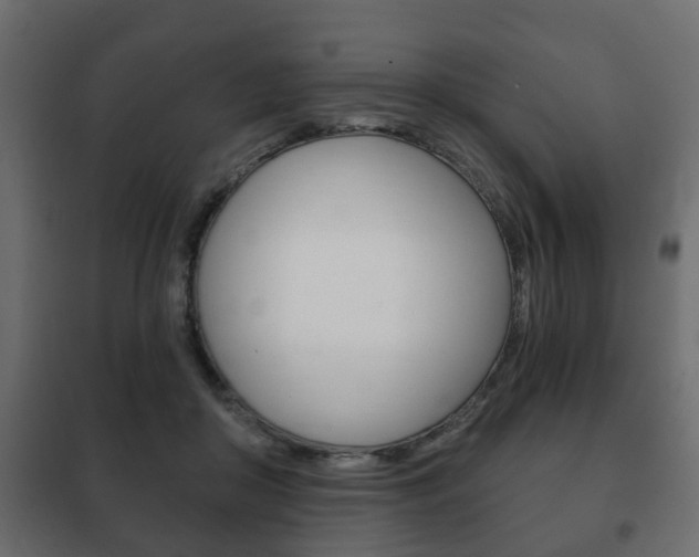 X0000102460410200808080950