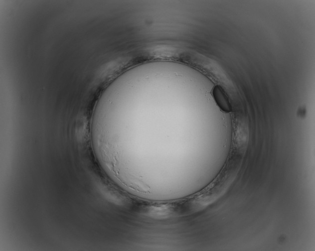 X0000102460411200808080950