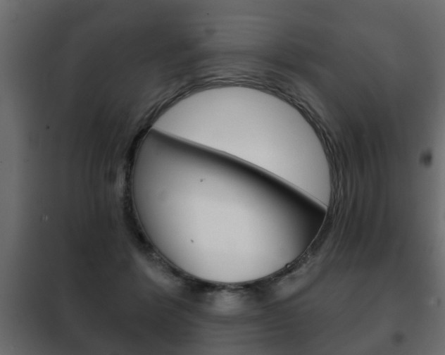 X0000102460412200808080950
