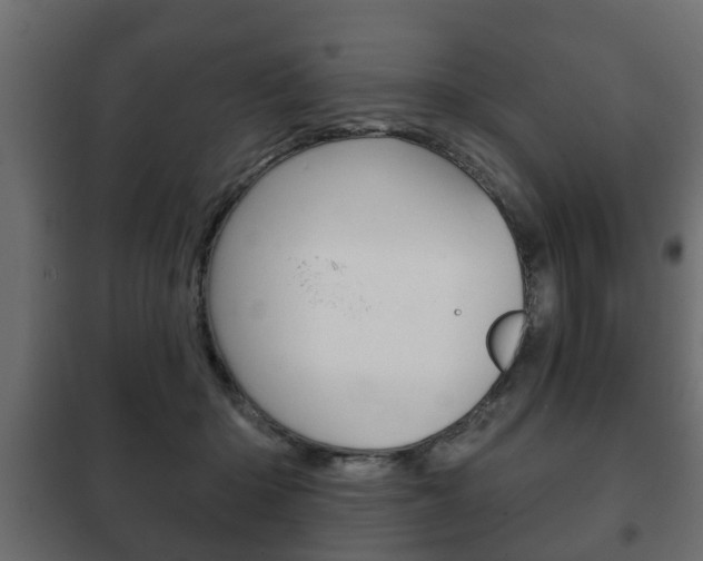 X0000102460414200808080950