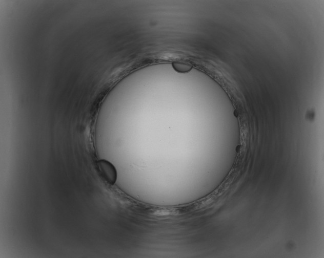 X0000102460415200808080949