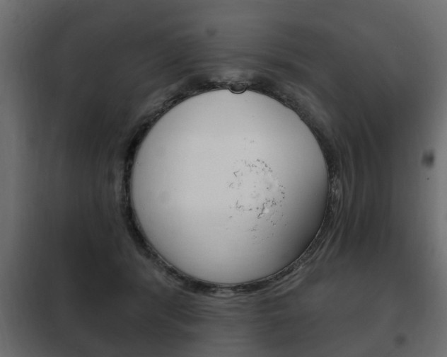 X0000102460416200808080949