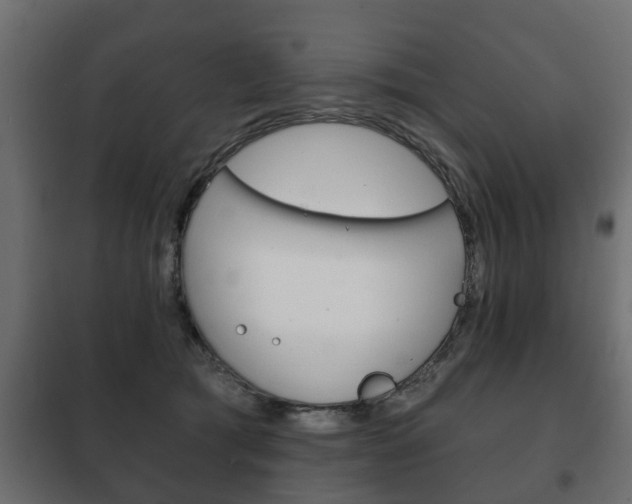 X0000102460417200808080949