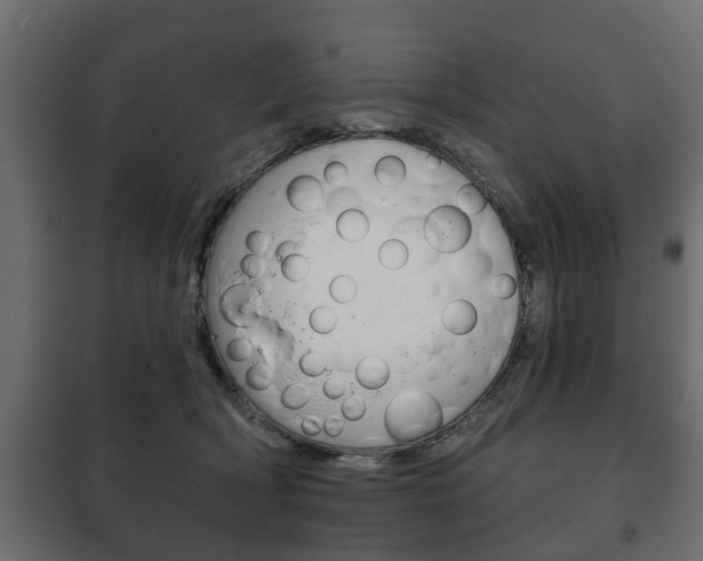 X0000102460418200808080949