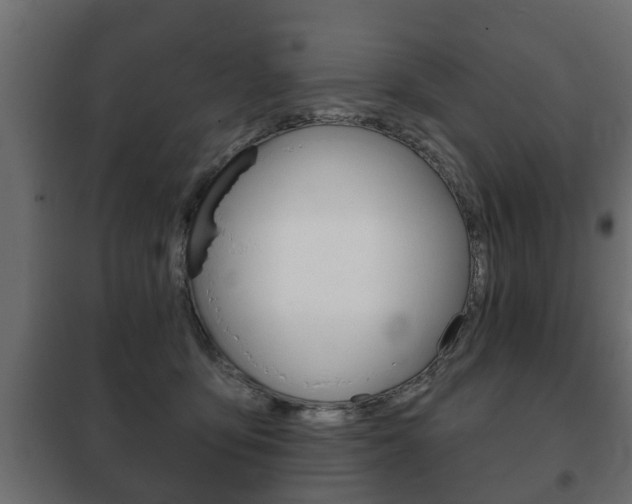 X0000102460419200808080949