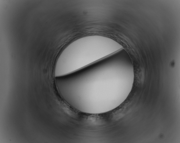 X0000102460420200808080949