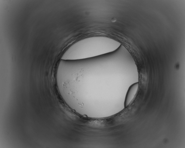 X0000102460422200808080949