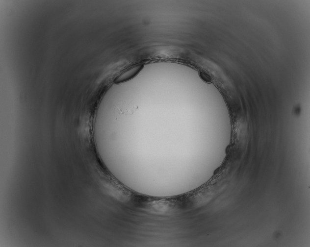 X0000102460423200808080949