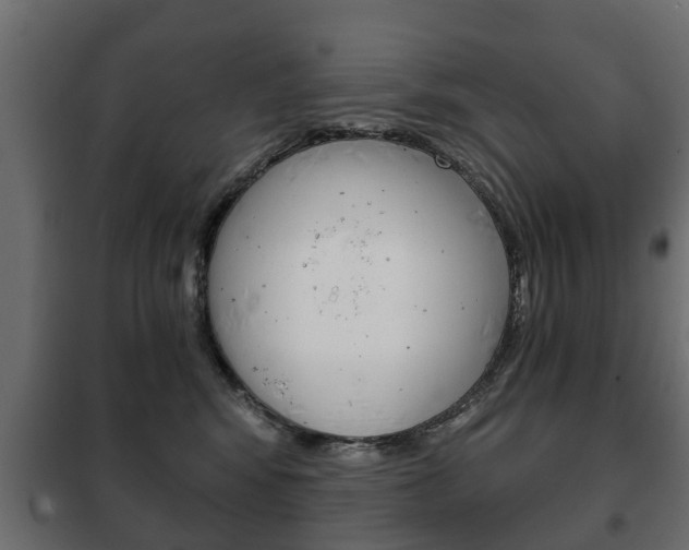 X0000102460424200808080949