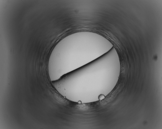 X0000102460425200808080949