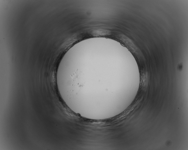 X0000102460426200808080949
