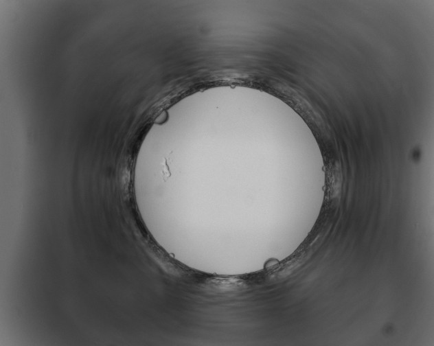 X0000102460427200808080949
