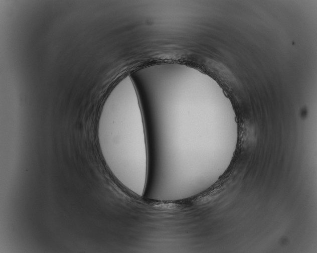 X0000102460428200808080949