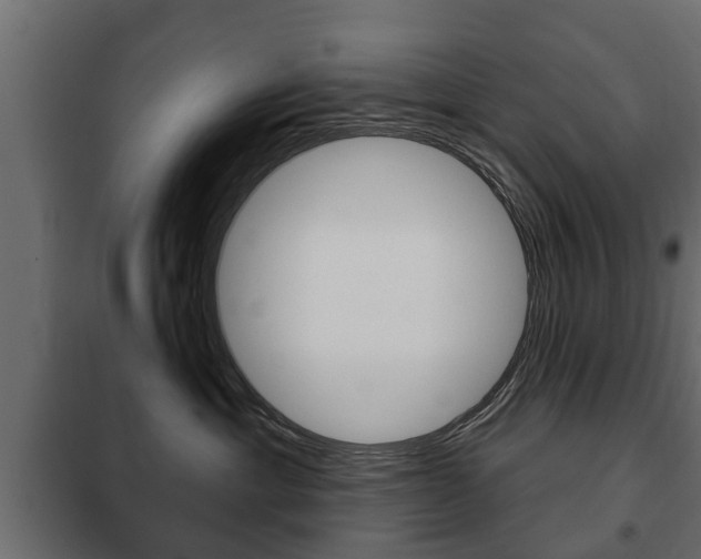 X0000102460429200808080949