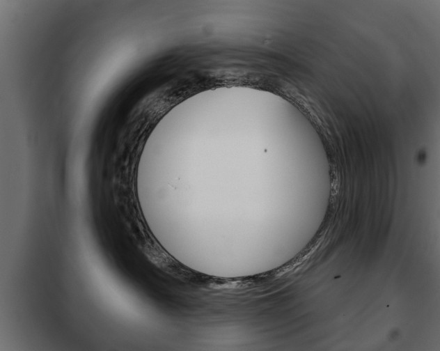 X0000102460430200808080949