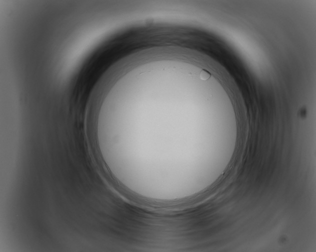 X0000102460431200808080949