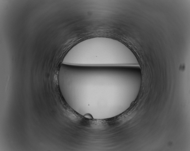 X0000102460432200808080949